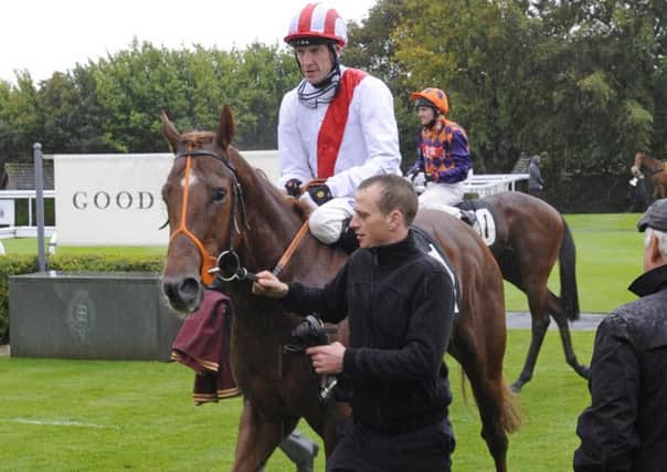 Night of Thunder after a 2013 Goodwood win with Richard Hughes on board / Picture by Malcolm Wells