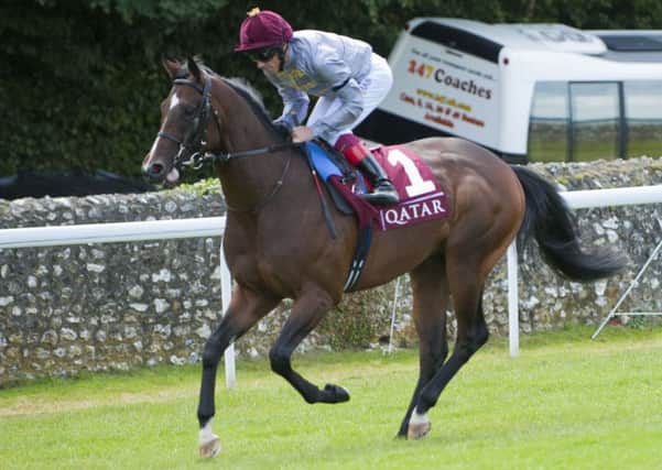 Will Frankie Dettori hasve another winner in Al Shaqab Racing's colours on Saturday? Picture by Tommy McMillan