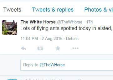 Reports of flying ants across the county