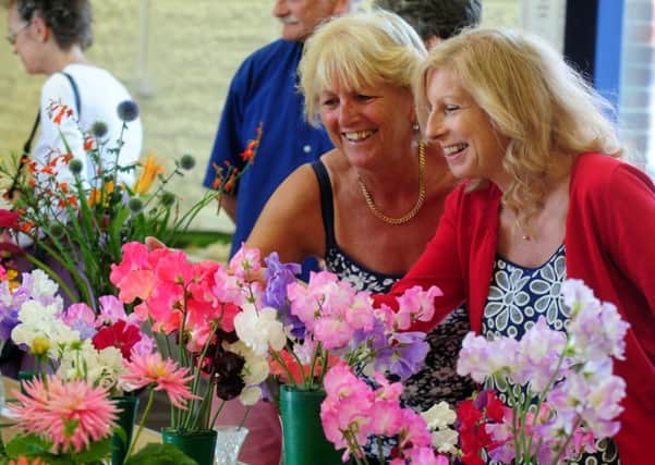 Julie Terry and Eileen Bentley enjoying looking at the entries in the flower show ks150034-1
