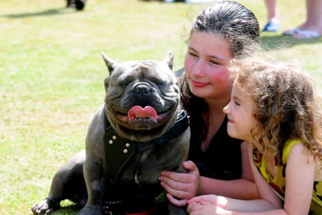 Mia Baker, 13, with her sister Miley and Tank, entered for the Most Handsome Dog category ks150034-3