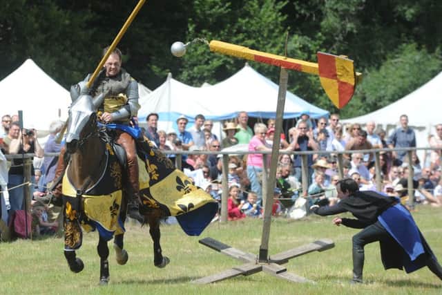 Loxwood Joust 1/8/15 (Pic by Jon Rigby) SUS-150308-110903008