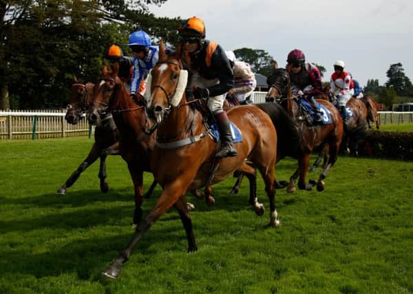 Action on the track at Ladies' Day / Picture by Clive Bennett