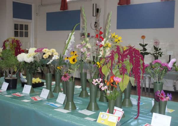 Beeding and Bramber Horticultural Society summer show SUS-150819-113357001