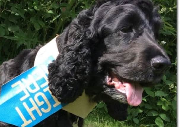 Therapy dog Pablo helped young people with anxiety to feel more calm