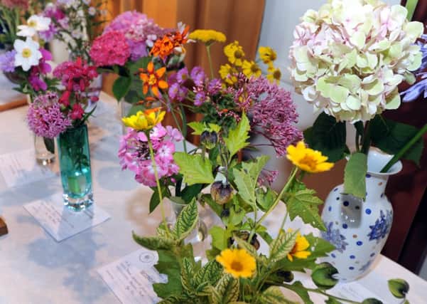 Winchelsea Flower Show at the New Hall 7/9/13 ENGSUS00120130809081217