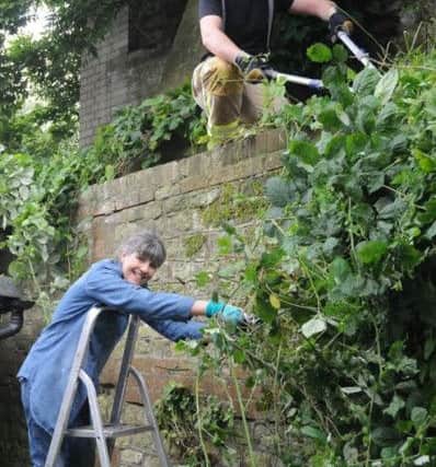 Councillors Lesley Campbell and Mark Purves clearing the terraces at the rear of the Old Library, Church Hill, Midhurst. The Old Library has become the Town Council's new home and needs a lot of care and attention. SUS-150109-150105001