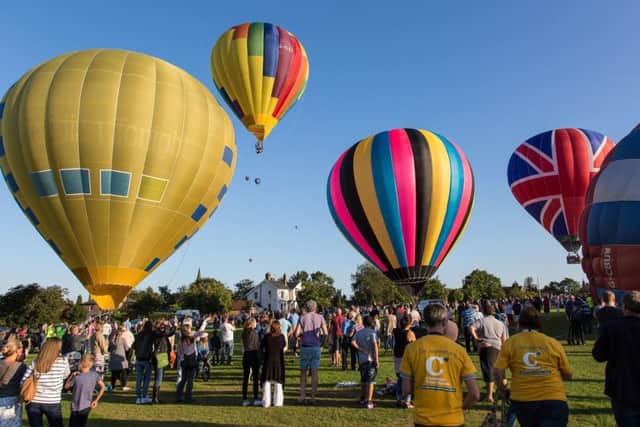 Wisborough Green hot air balloon festival