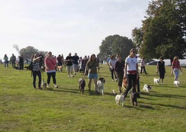 Canine Partners Big Petworth Park Walk and Run