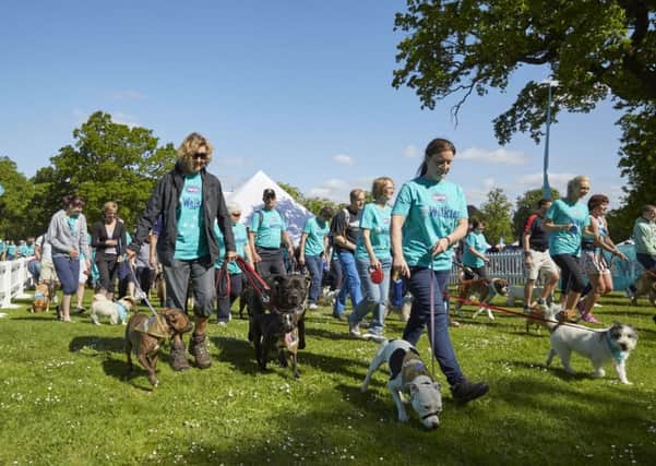 RSPCA Big Walkies event to take place in Southwater SUS-151109-102214001