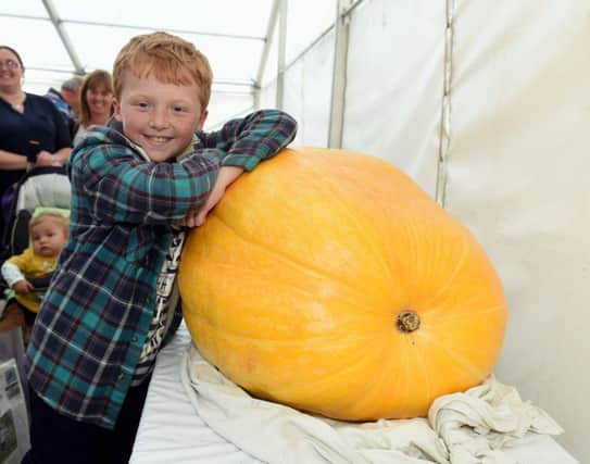 JJ Hodder, pictured with a giant pumpkin