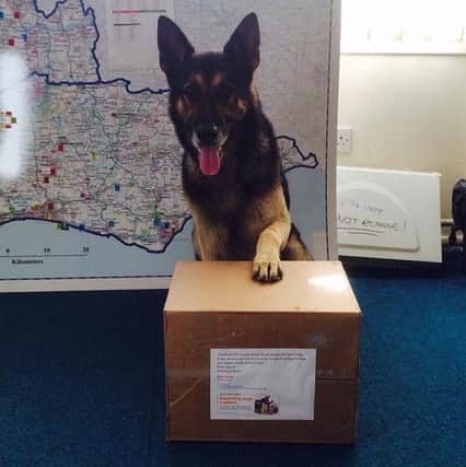 Sussex Police dogs were rewarded with goodies after playing a key role in the Shoreham Airshow recovery operation SUS-150918-150843001