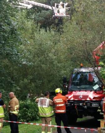 Emergency services helped to rescue a boy who was stuck in a tree in Haywards Heath
