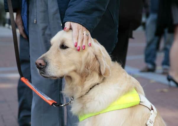 Guide Dogs is challenging some of the South Easts misconceptions
