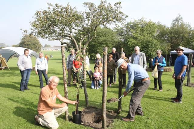 Roger Brown, left, and Bob Platt planting a tree in memory of Marlene Carman DM151179505a