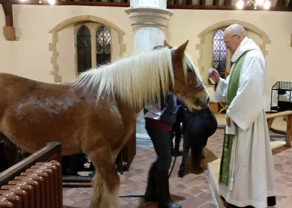The larger of the two ponies at St Peters Church