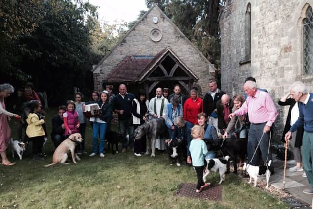 From dachshunds to wolfhounds, there were dogs galore at St Margarets Church, Fernhurst, on Sunday