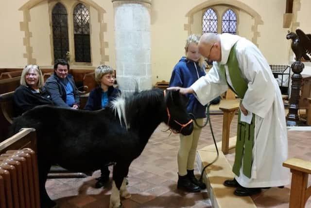 Father Andy Wilkes blesses the smaller of the ponies