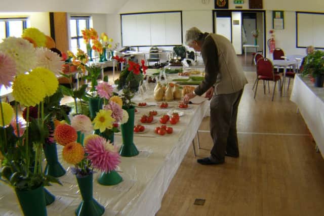 Vegetables on show included tomatoes and onions
