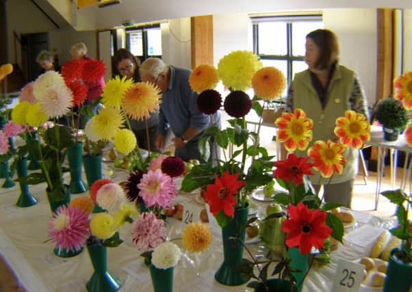 The Yapton Cottage Gardeners Society autumn show attracted 312 entries from 44 participants