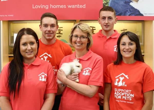 Pets at Home store in search for local animal charity partner SUS-150211-104705001
