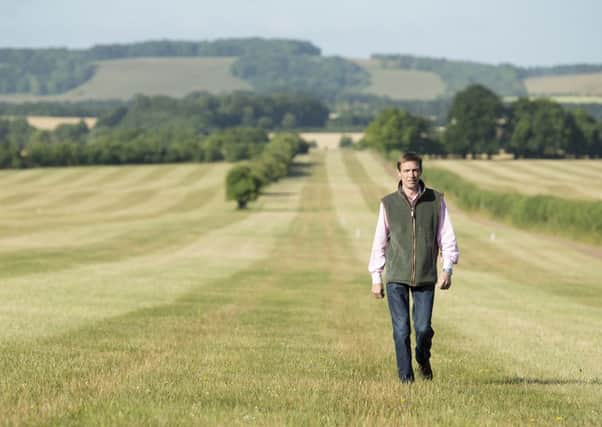 Richard Hughes in the Hampshire countryside, where he will train the new GROG colt