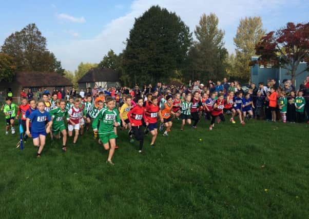 More than 550 runners took on the Haywards Heath Harriers Cross-Country fixture this weekend at Hickstead