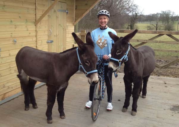 The Donkey Sanctuary is looking for a new collection tin co-ordinator