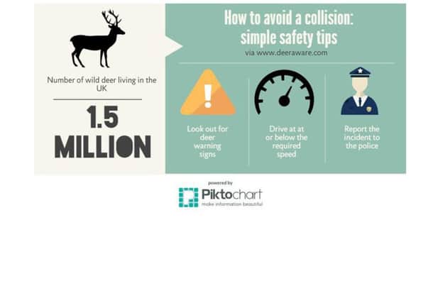Deer infographic