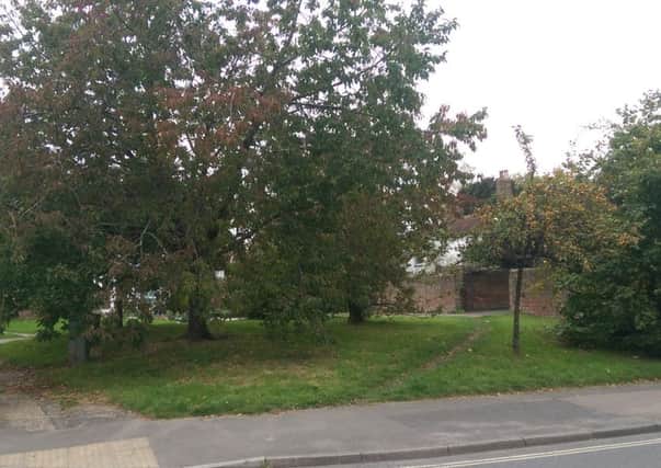 Trees under threat in Hadmans Close Horsham