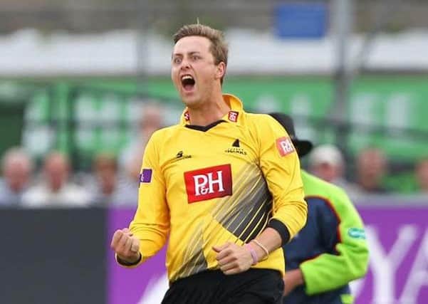 Ollie Robinson celebrates taking a wicket