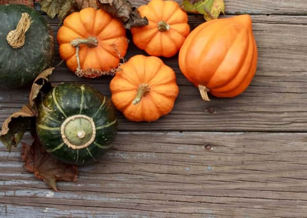 A festival aimed at reducing pumpkin wastage is to be held in Durrington next Saturday