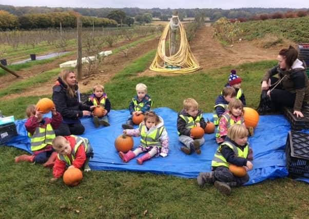 Children from Stedham Squirrels were able to choose their own pumpkins to buy at Durleighmarsh Farm