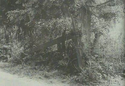 SUS-151023-103241001