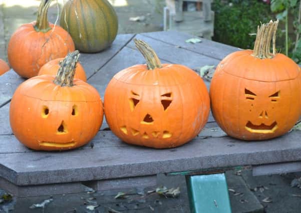 Pumpkins ready for Halloween