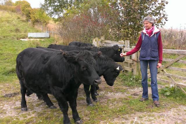 Cattle breeder Frances Sedgwick with her Dexter cattle