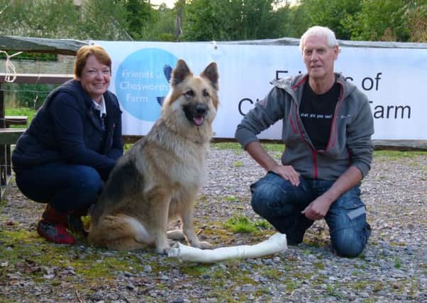 Sadie, with Mel, is presented with her winning giant chew bone by Mike Butcher of the Friends of Chesworth Farm. SUS-151011-104249001