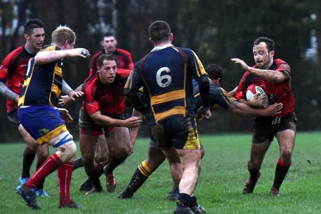 Sport. Rugby. Haywards Heath v Worthing Seniors. Action from the match. 

Picture : Liz Pearce 081115
LP1502624 PPP-150811-135505006