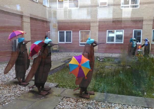 The penguins ready for winter at Worthing Hospital Picture by Tony Peterson