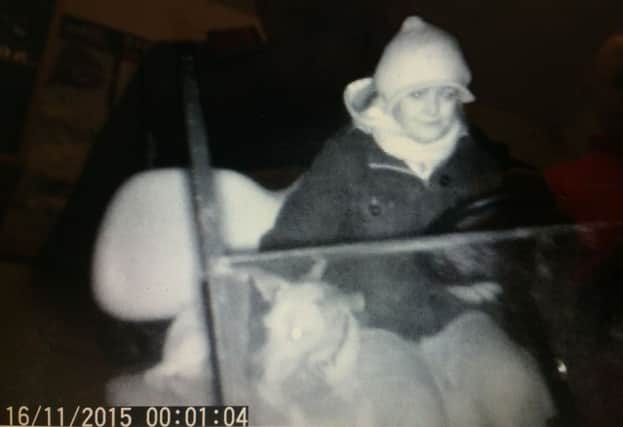 Police are lloking for a woman who drove her dog around in a golf buggy SUS-151118-174331001