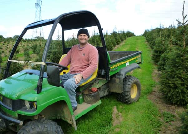 Christmas tree farmer Clive Collins SUS-151124-144147001