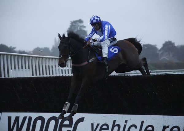 Jumps action at Fontwell / Picture by Clive Bennett