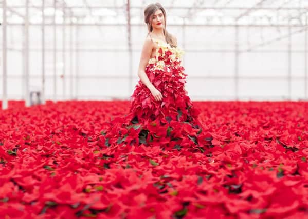 The living poinsettia dress created by floral stylists, Okishima & Simmonds at Hill Brothers Nursery in Chichester, Picture by Julian Winslow for Stars for Europe
