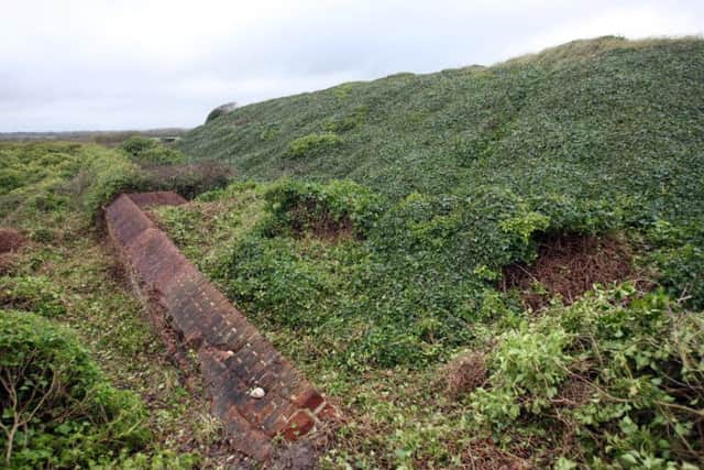 The mound of ivy that hides the gun emplacements, among other things dm15228316a