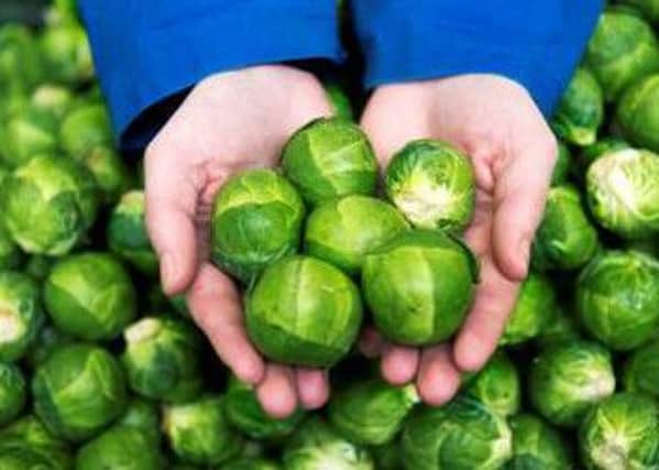 Morrisons' monster sprouts