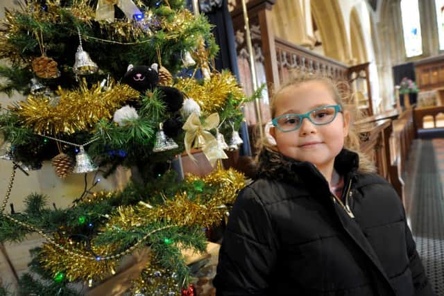 Christmas Tree Festival at St Mary's Church, Battle.
Macy Lang. SUS-151129-085243001