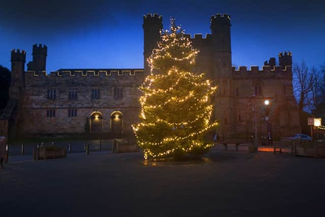 Christmas lights in Battle. Photo Frank Copper.
Battle Abbey SUS-150112-075207001