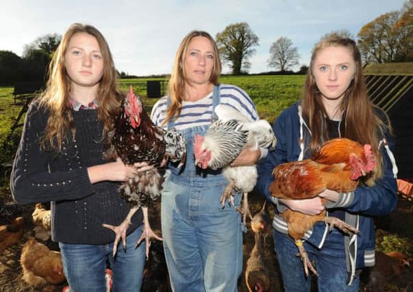 Sarah McKenzie with her daughters Willow and Hebe with some of their rare breed chickens and cockerels (Pic by Jon Rigby) SUS-151130-112931008