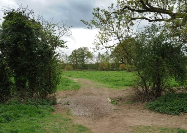 Designation of Ifield Brook Meadows as a green space was specifically mentioned as Crawley's local plan is one step from adoption (Pic by Jon Rigby)