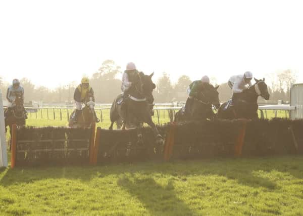 Action from the Axio Special Works Christmas Raceday Juvenile Hurdle at Fontwell / Picture by Clive Bennett